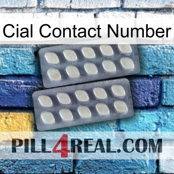 Cial Contact Number 07.jpg